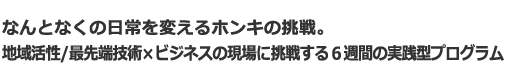 なんとなくの日常を変えるホンキの挑戦。地域活性×ビジネスの現場に挑戦する6週間の実践型プログラム